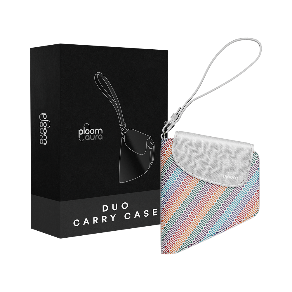 Lielais pārnēsāšanas ietvars